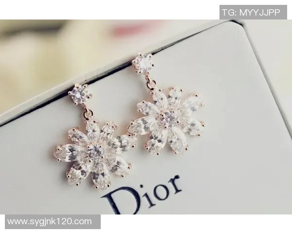 足球明星同款耳钉价格揭秘 让你了解潮流背后的奢华与价值